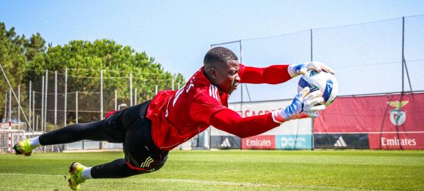 半岛体育在线-尼斯球迷为球队声援，期待胜利的简单介绍