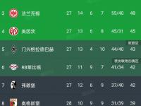 半岛体育官网app-拜仁战平助力晋级，32强名额尘埃落定的简单介绍