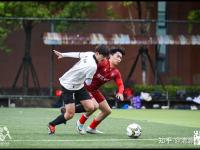 半岛体育官网app-迎接体育盛事，强队们将在球场上进行对决