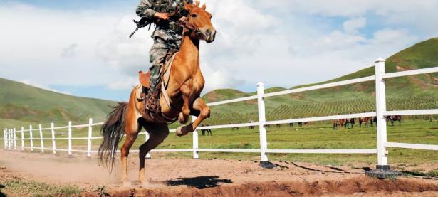 半岛体育登录入口-关于摩尔多瓦队奋勇作战，闯入下一轮比赛！的信息