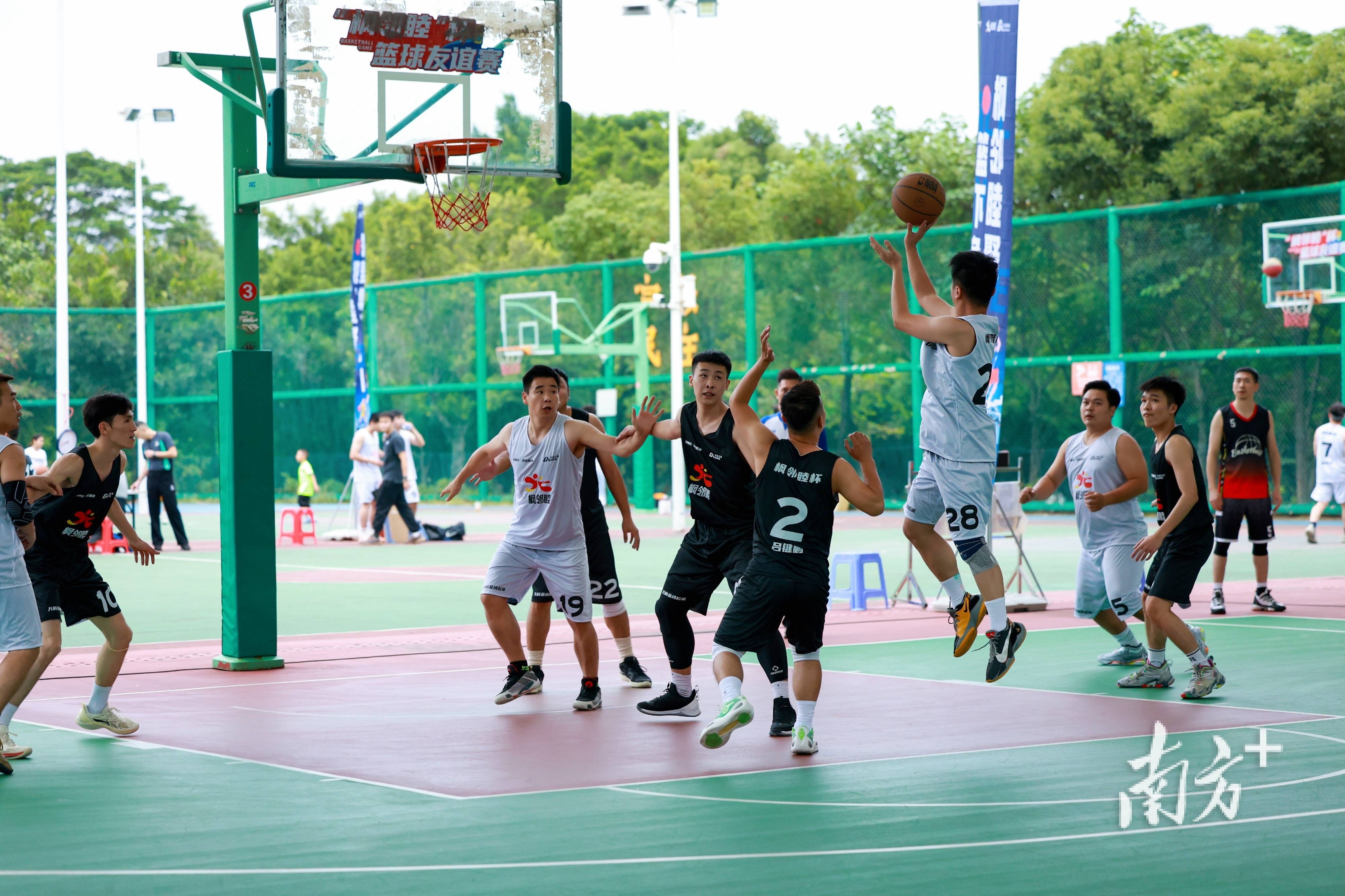 篮球赛场上热闹非凡，球迷欢呼不止的简单介绍