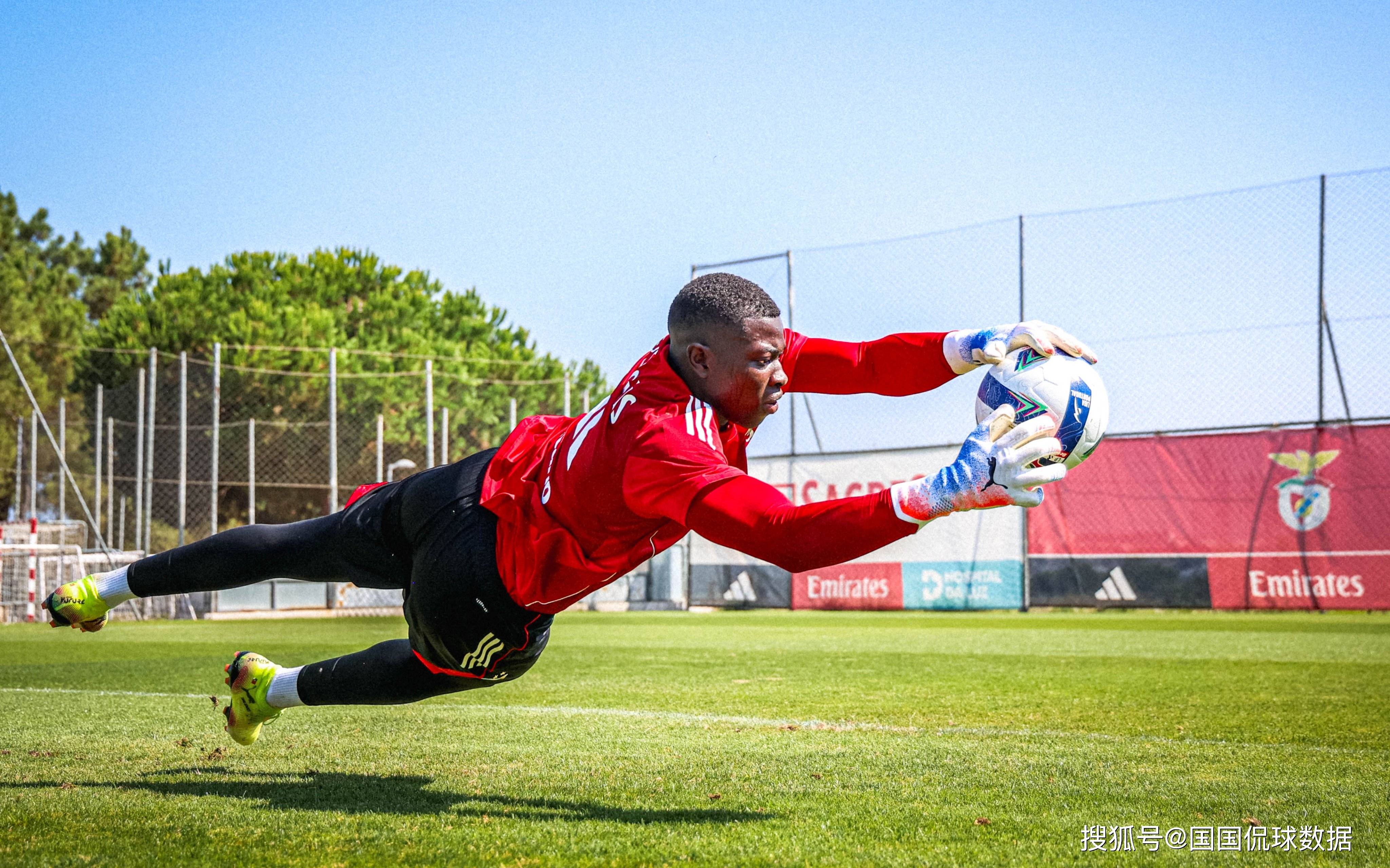 尼斯球迷为球队声援，期待胜利的简单介绍