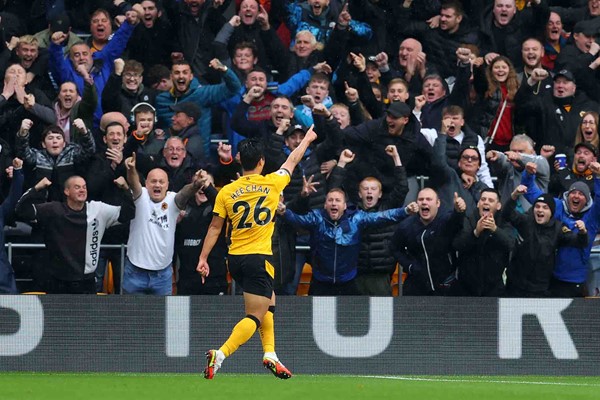 尼斯球迷为球队声援，期待胜利的简单介绍